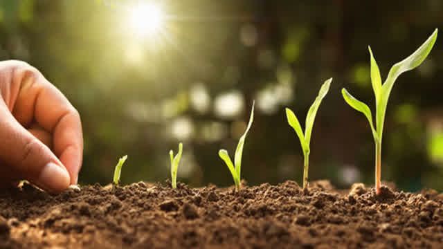 About Rabbi's Garden